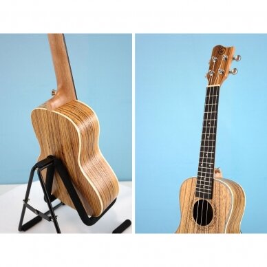 Koncertinė ukulelė Condorwood UC-2460 4