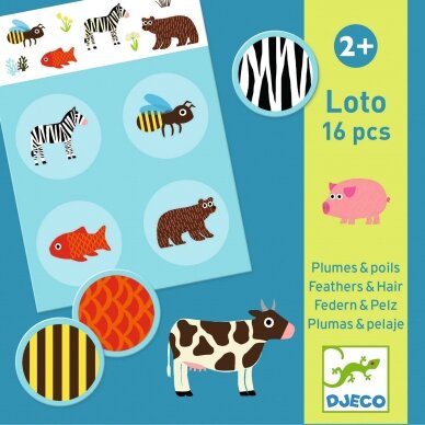 Loto žaidimas Djeco Plunksna ir kailis 4