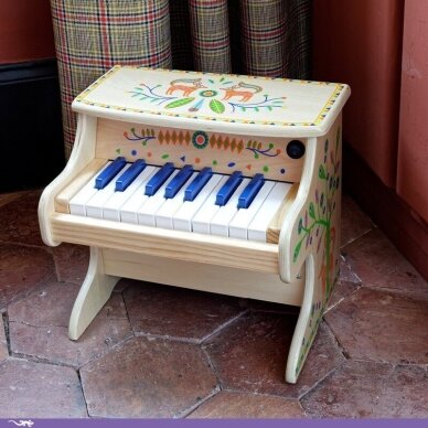 Vaikiškas muzikinis instrumentas - Elektroninis pianinas (18 klavišų) 3